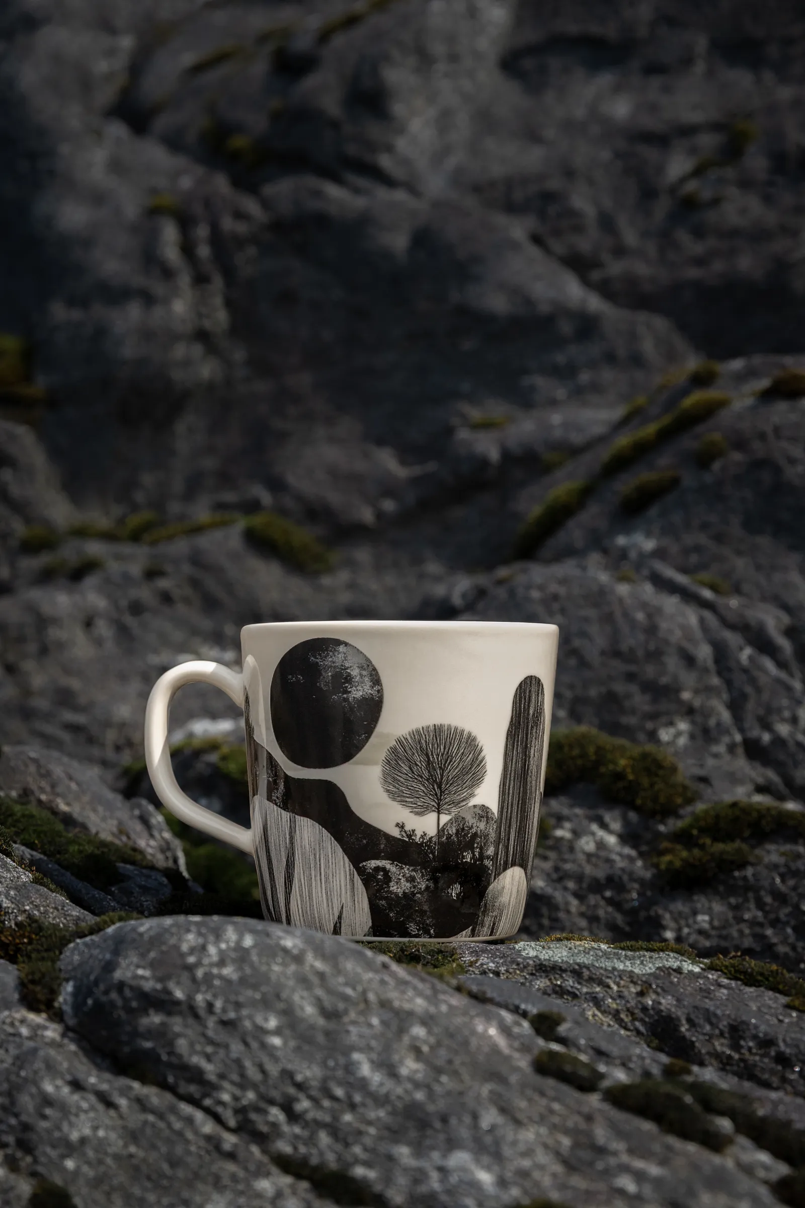 A View of Monochrome Silence