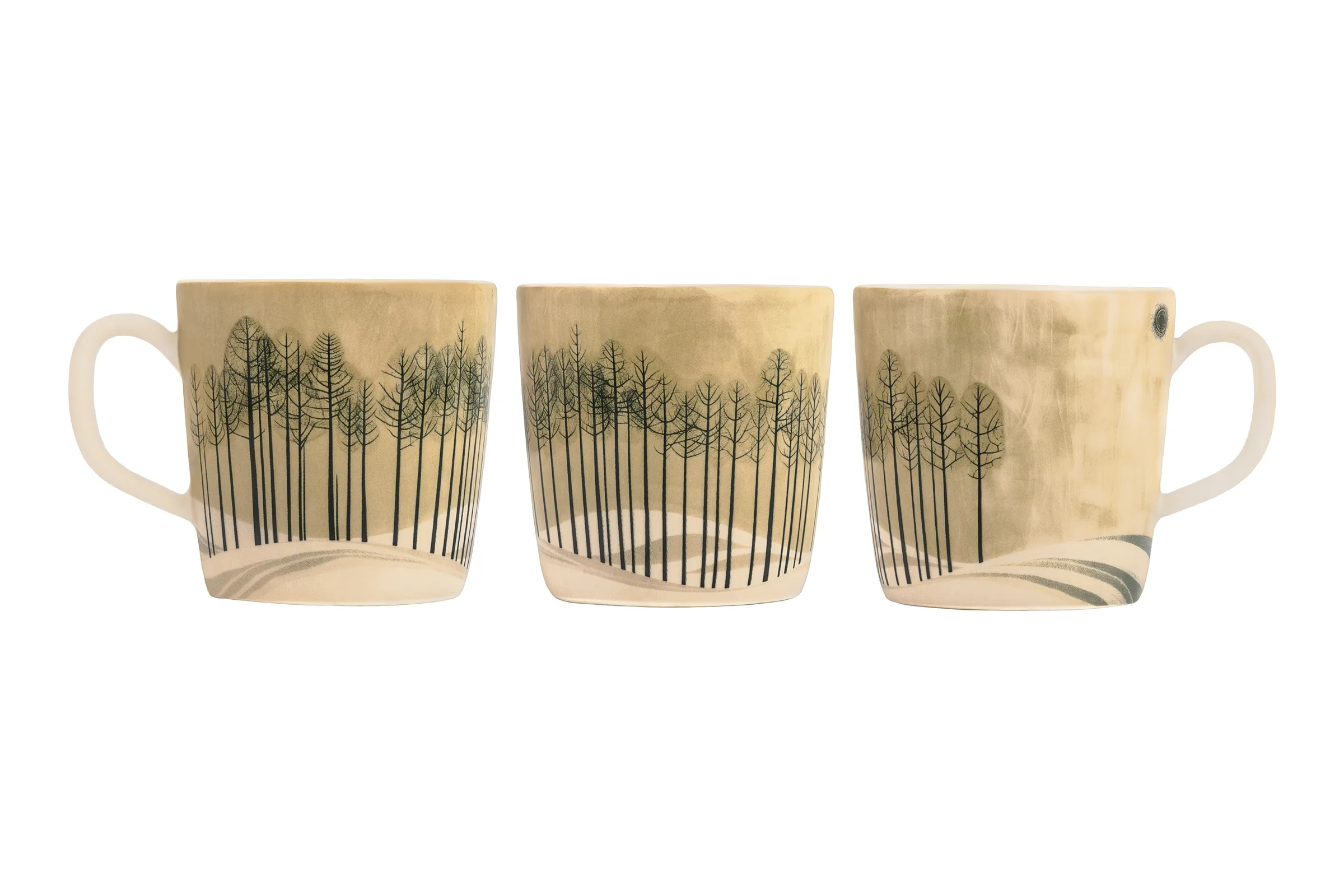 A View of Silent Pines - A View of Silent Pines