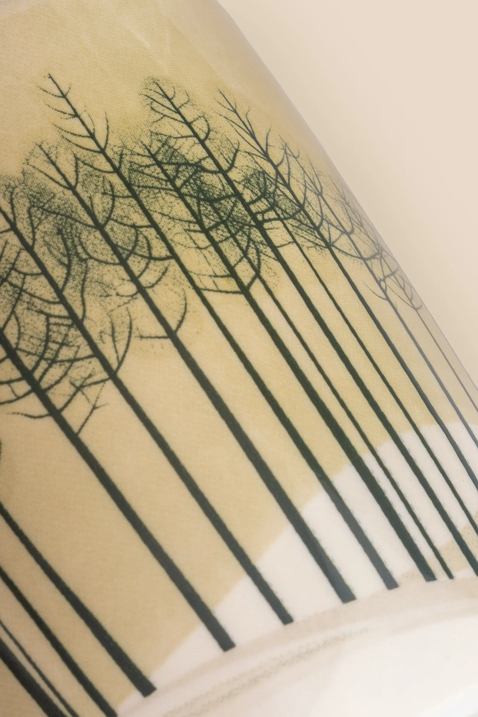 A View of Silent Pines - A View of Silent Pines