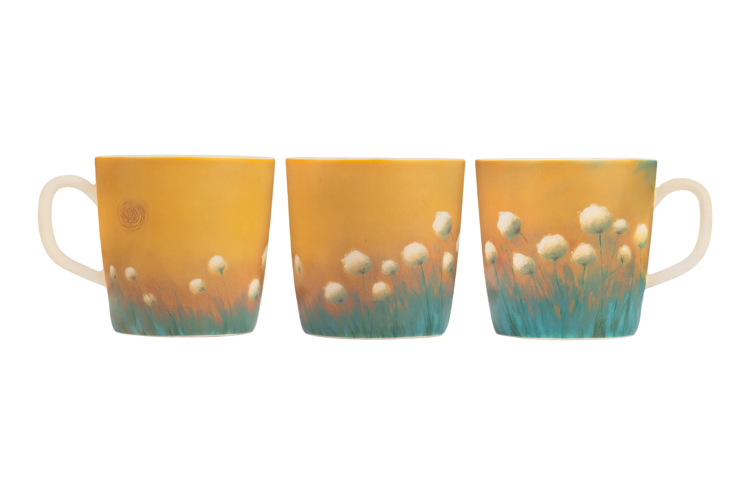 A View of Arctic Cotton